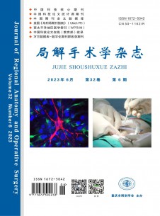 点击查看局解手术学