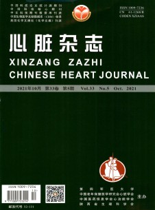 点击查看心脏