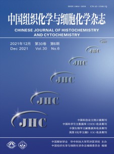 点击查看中国组织化学与细胞化学