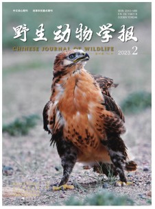 点击查看野生动物学报