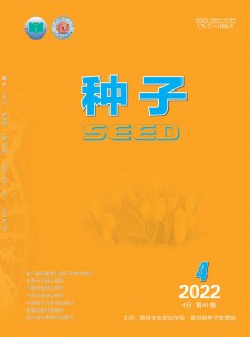 点击查看种子
