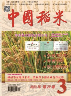 点击查看中国稻米