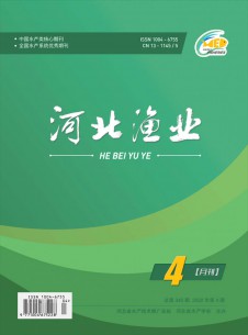 点击查看河北渔业